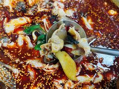 红汤鱼火锅-川渔居—鱼火锅(八方汇店)