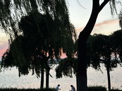 -丁香湖公园