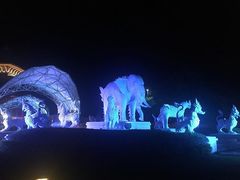-清迈夜间动物园
