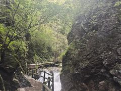 -牛背梁国家森林公园