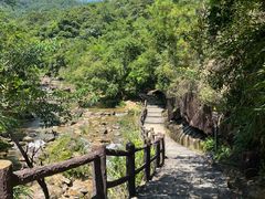 -广州白江湖森林公园