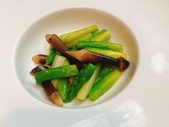 -觀芷隐轩