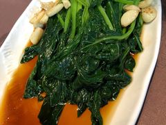 -佳兰雅序融合菜(高新店)