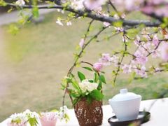 -云峰山自然风景区