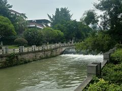 -桂湖森林公园