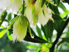 -水濂山森林公园