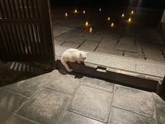 -法云安缦酒店