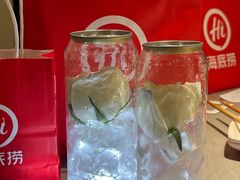 -海底捞火锅(珠影星光城夜宵主题店)