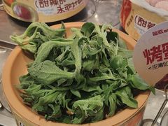 -龍歌自助小火锅(李沧丽达店)