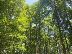 -山王坪喀斯特国家生态公园