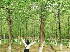 -白鹭湾湿地公园