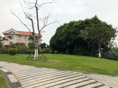 -厦门悦华酒店