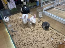 -小象动悟公园(龙湖亦庄天街店)