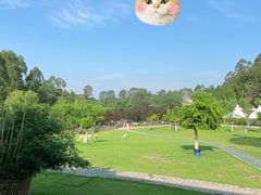 -黄龙溪欢乐田园