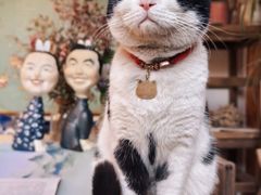 -创艺无限·赵春香微妙艺术馆