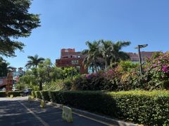 -佳丽海鲜大酒楼(环岛海景店)