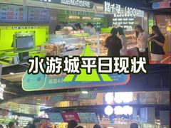 -鹏欣水游城