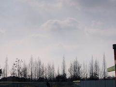 -白鹭湾湿地公园