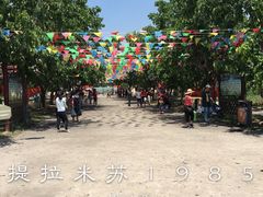 -御林古桑园