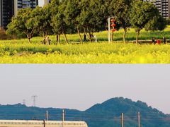 -光明小镇欢乐田园