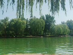 -团结湖公园