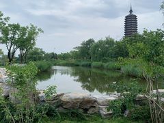 -西海子公园