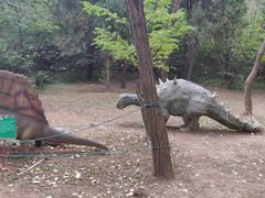 -原山国家森林公园