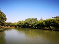 -大湾区中央湿地公园