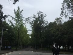 校内环境-四川大学(望江校区)