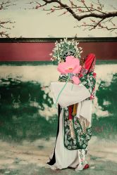 -盘子女人坊古装写真摄影(天津总店)