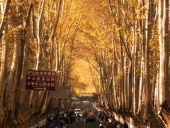 -安徽大青山野生动物世界