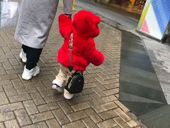 -Dior迪奥(恒隆广场童装店)