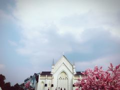 -紫颐香薰山谷景区