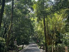 -广州市白云山风景名胜区