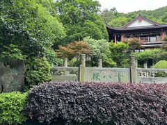 -十八棵（老龙井）御茶园(老龙井店)