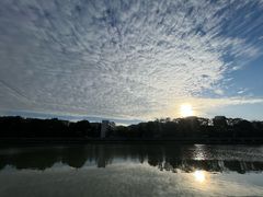 -鹏林天龙鸡杂