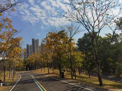 -牛岗山公园