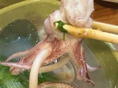 -蛇口康乐快餐鱼仔档(翠苑小区店)