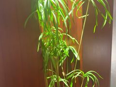-台鄉缘 ·小海鲜·台州菜(桃林路店)