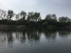 -溱湖国家湿地公园