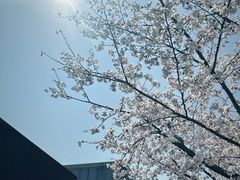 -龙美术馆(西岸馆)
