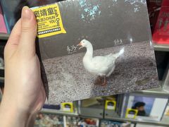 -Hi Fi Acoustic 梵香禅韵·色声香味
