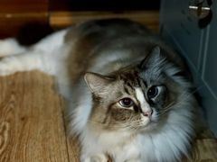 -白兔子密室(长寿路店)