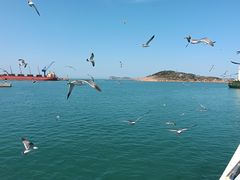 -海驴岛(荣成市)
