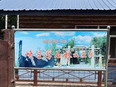 -峡谷浮石林景区