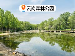 -云岗森林公园