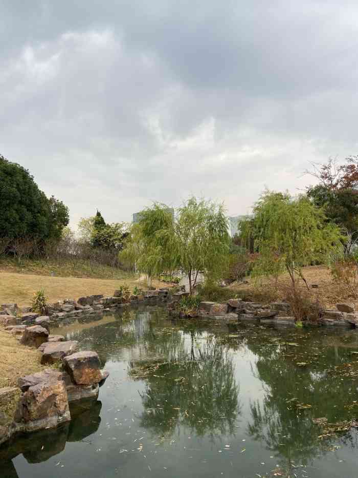 小茅山公园-"由于新型冠状病毒,这个寒假过的太寂寞太漫.