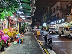 -溪岸路花鸟市场