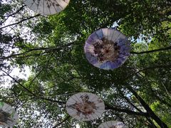 -南国桃园旅游度假区