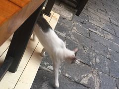 -山色西餐·柴火烤披萨